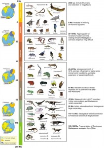 17 Megadiverse Countries in the World - RankRed