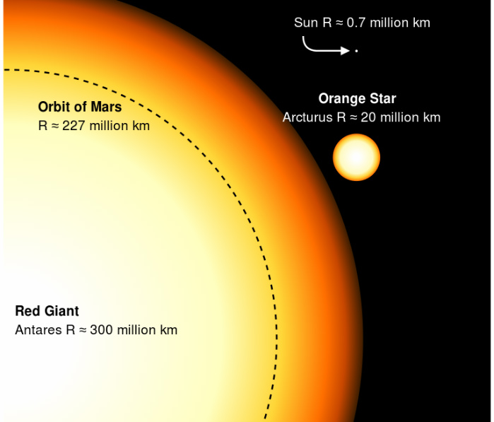 nml cygni compared to solar system