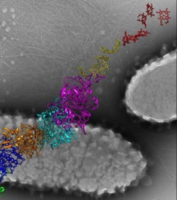 Key To Create Tiny Yet Powerful Batteries Is Hidden In Electricity ...