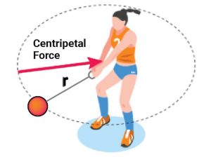 11 Different Types Of Forces - RankRed