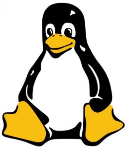 Linus Torvalds: The Man Who Created Linux Kernel - RankRed